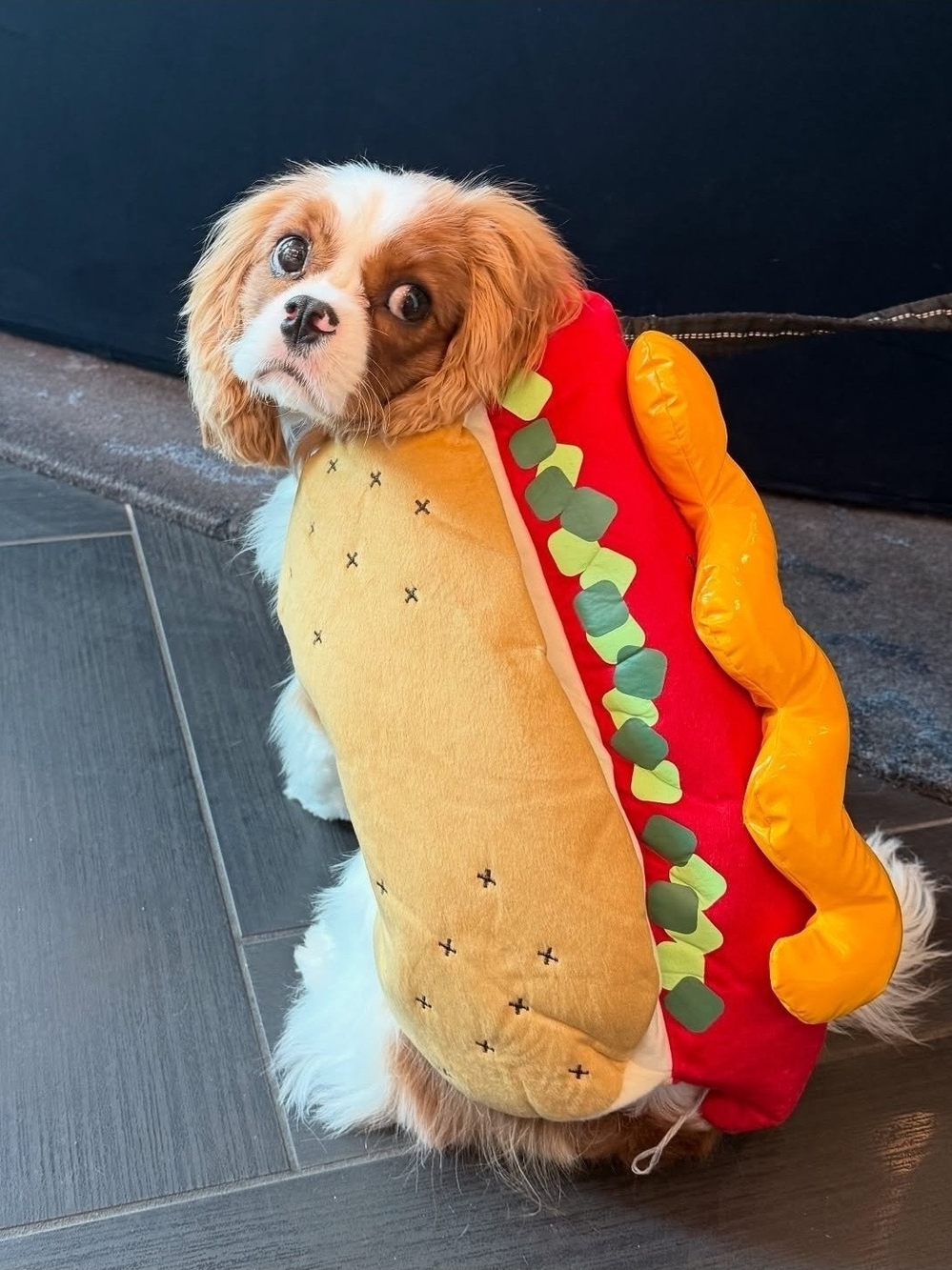 Boots & Barkley Plush Hot Dog Pet Costume in Yellow, Red, Green